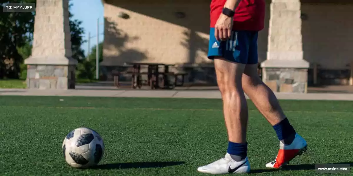 行业领先的理由