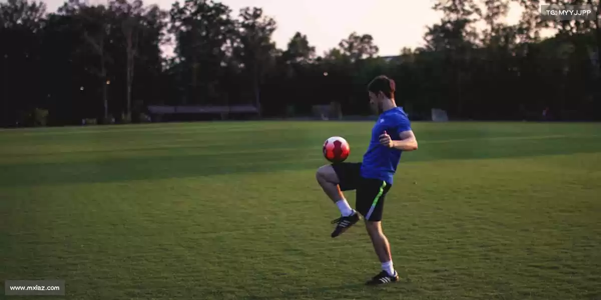 为什么选择我们